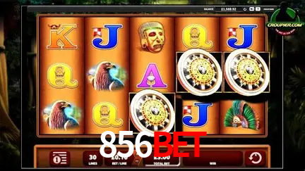 Live Casino 856bet